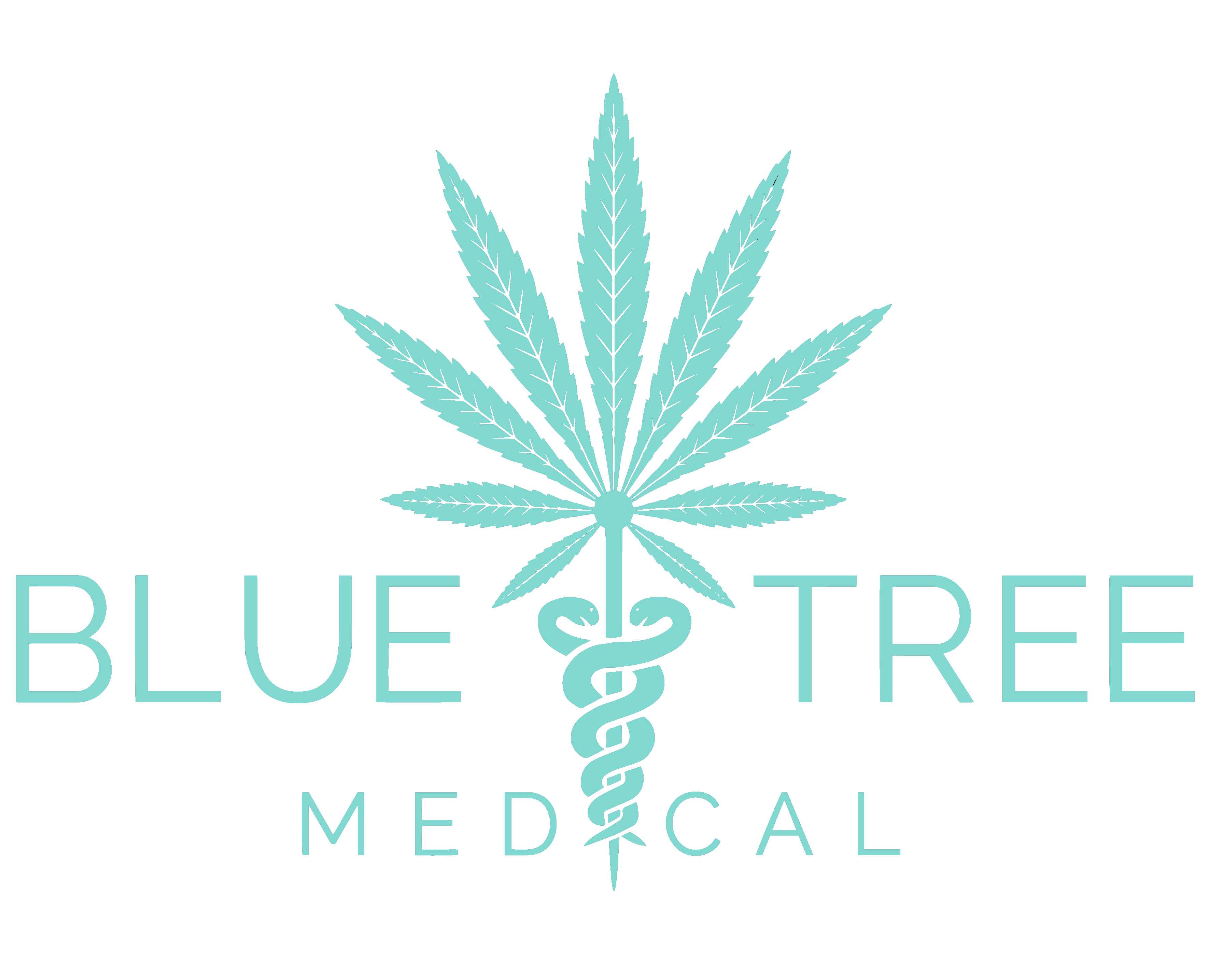 Blue Tree Medical